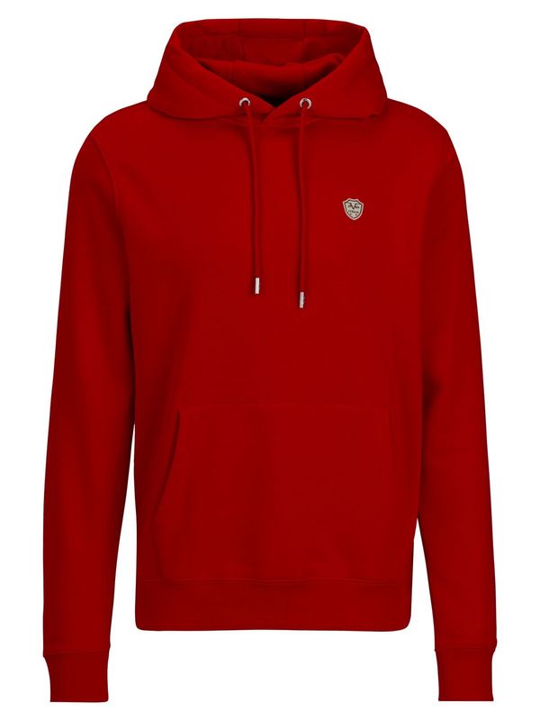 19V69 ITALIA 19V69 ITALIA Sweater majica 'Matteo'  siva / rubin crvena