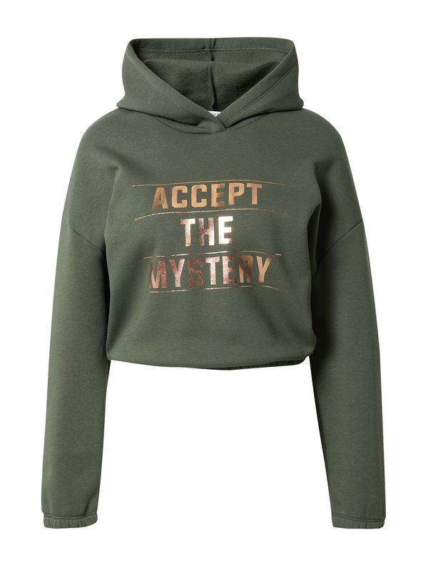 ABOUT YOU ABOUT YOU Sweater majica 'Cheyenne'  bronca / siva / tamno zelena