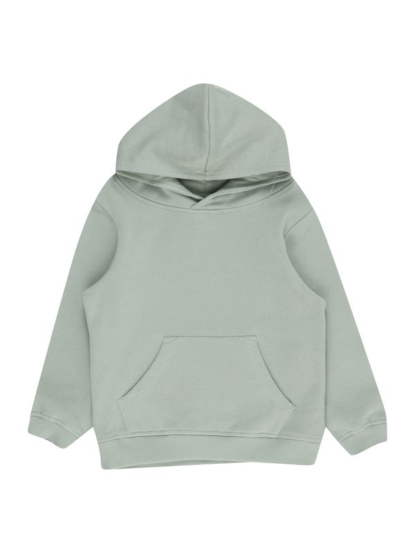 ABOUT YOU ABOUT YOU Sweater majica 'Theodor'  menta