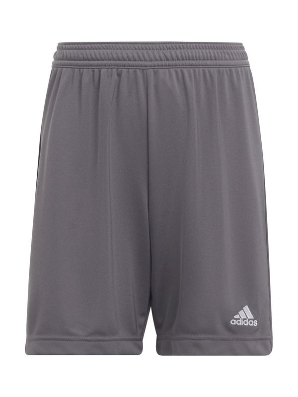 ADIDAS PERFORMANCE ADIDAS PERFORMANCE Sportske hlače 'Entrada 22'  tamo siva / bijela