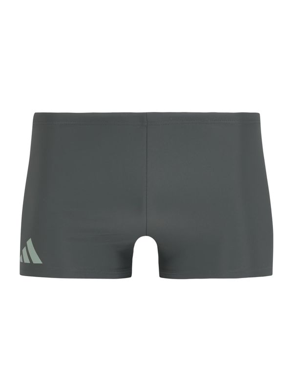 ADIDAS PERFORMANCE ADIDAS PERFORMANCE Sportske kupaće gaće  dimno siva / tamo siva