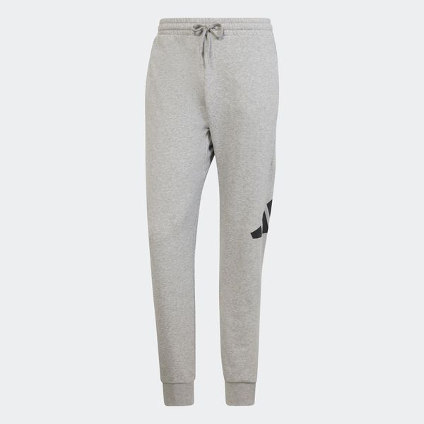 ADIDAS SPORTSWEAR ADIDAS SPORTSWEAR Sportske hlače  antracit siva / svijetlosiva