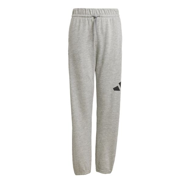 ADIDAS SPORTSWEAR ADIDAS SPORTSWEAR Sportske hlače 'Essentials'  siva melange / crna