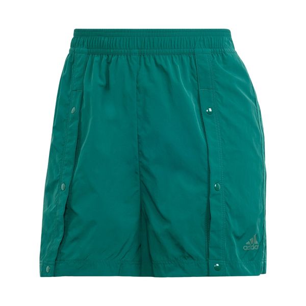 ADIDAS SPORTSWEAR ADIDAS SPORTSWEAR Sportske hlače 'Tiro'  kraljevski zelena