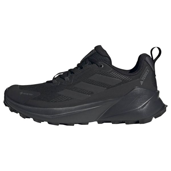ADIDAS TERREX ADIDAS TERREX Niske cipele 'Trailmaker 2.0'  crna