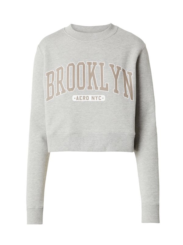 AÉROPOSTALE AÉROPOSTALE Sweater majica 'BROOKLYN'  moka smeđa / siva / bijela