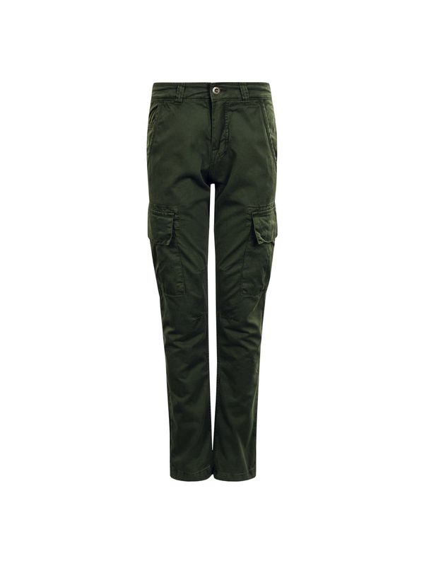 ALPHA INDUSTRIES ALPHA INDUSTRIES Cargo hlače 'Agent'  kaki