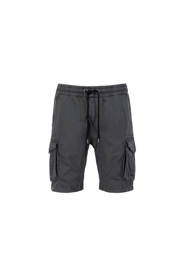 ALPHA INDUSTRIES ALPHA INDUSTRIES Cargo hlače  grafit siva