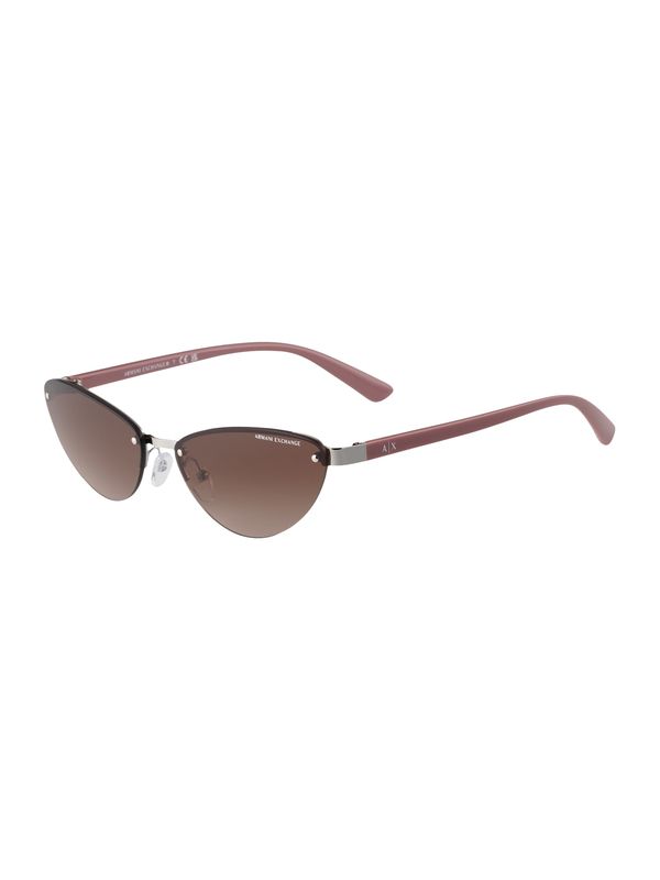 ARMANI EXCHANGE ARMANI EXCHANGE Sunčane naočale '0AX2049S'  smeđa / siva / srebro