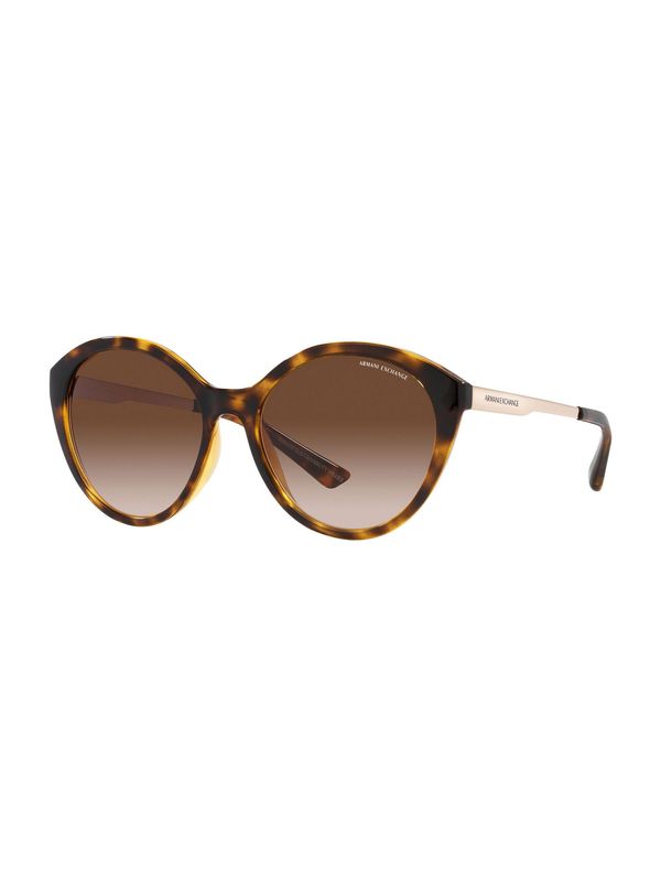 ARMANI EXCHANGE ARMANI EXCHANGE Sunčane naočale '0AX4134S'  smeđa / tamno smeđa