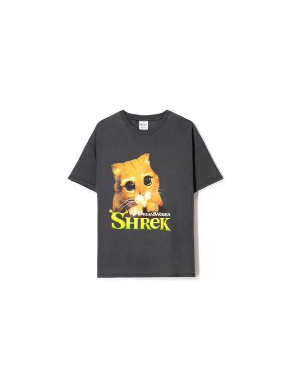 Bershka Bershka Majica 'SHREK'  antracit siva / svijetlozelena / narančasta / prljavo bijela