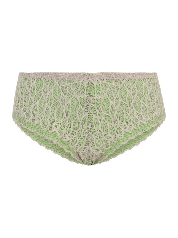 Cache Cœur Cache Cœur Hipster gaćice  taupe siva / kivi zelena
