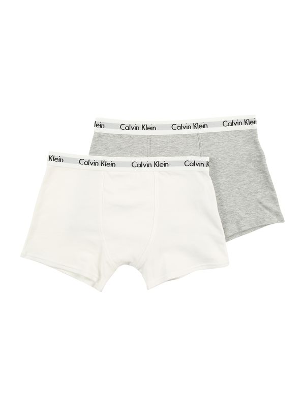 Calvin Klein Underwear Calvin Klein Underwear Gaće  siva melange / bijela