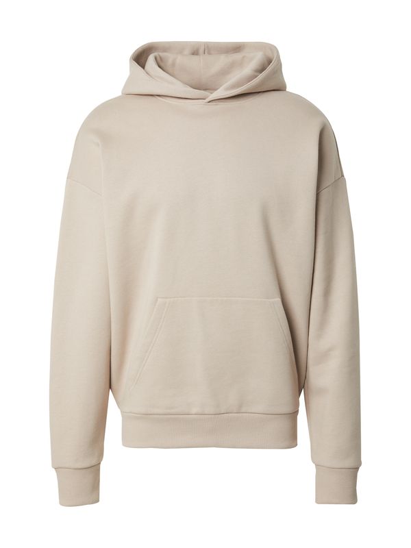 DAN FOX APPAREL DAN FOX APPAREL Sweater majica 'Malte'  tamno bež / taupe siva
