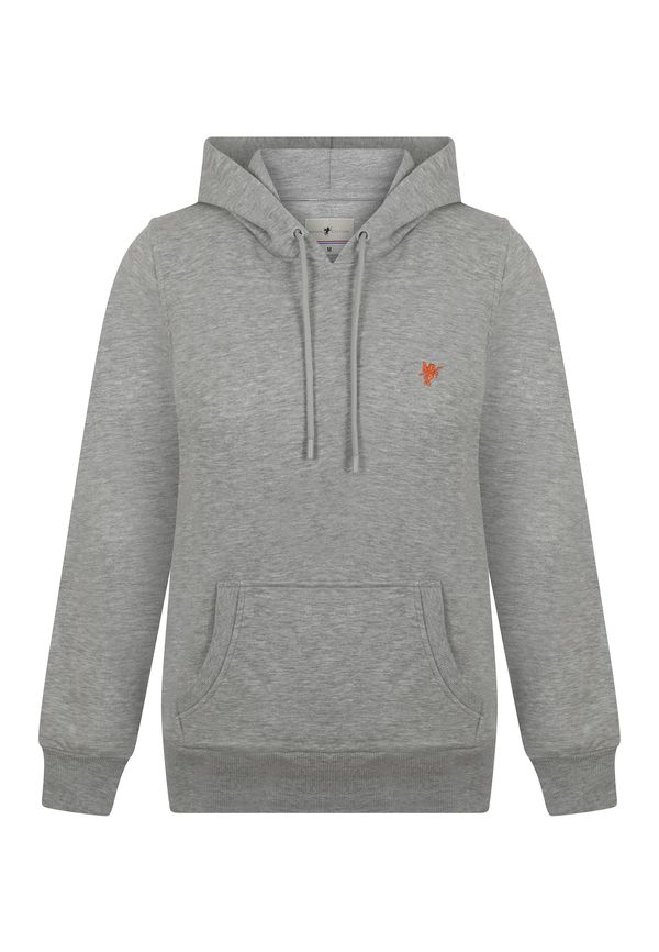 DENIM CULTURE DENIM CULTURE Sweater majica 'Zenaida'  siva melange / hrđavo crvena