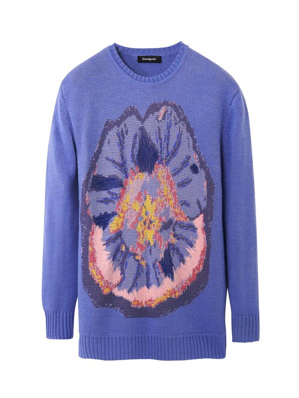 Desigual Desigual Pulover 'M. Christian Lacroix'  plava / miks boja