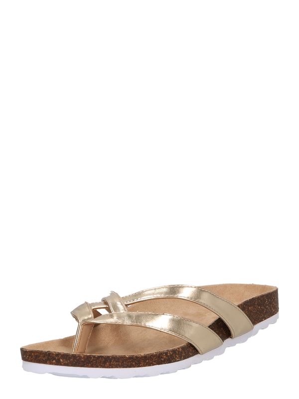 Dorothy Perkins Dorothy Perkins Japanke 'Bernadette'  zlatna