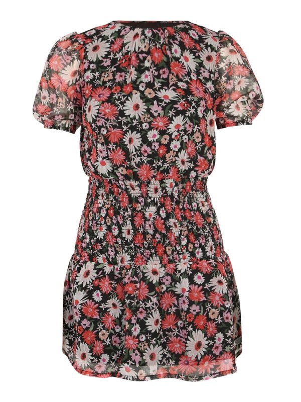Dorothy Perkins Petite Dorothy Perkins Petite Haljina 'Daisy'  miks boja / koraljna