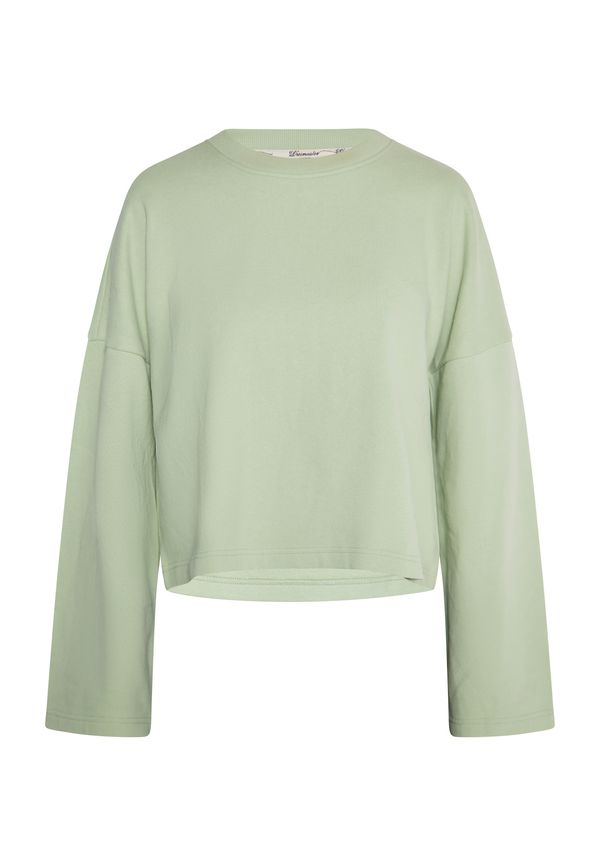 DreiMaster Vintage DreiMaster Vintage Sweater majica  pastelno zelena