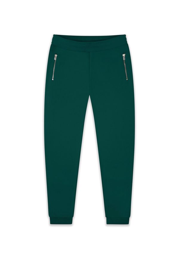 Dropsize Dropsize Hlače  sivkasto zelena