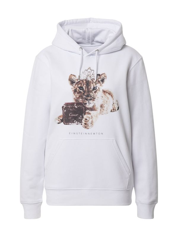 EINSTEIN & NEWTON EINSTEIN & NEWTON Sweater majica  bež / smeđa / bijela