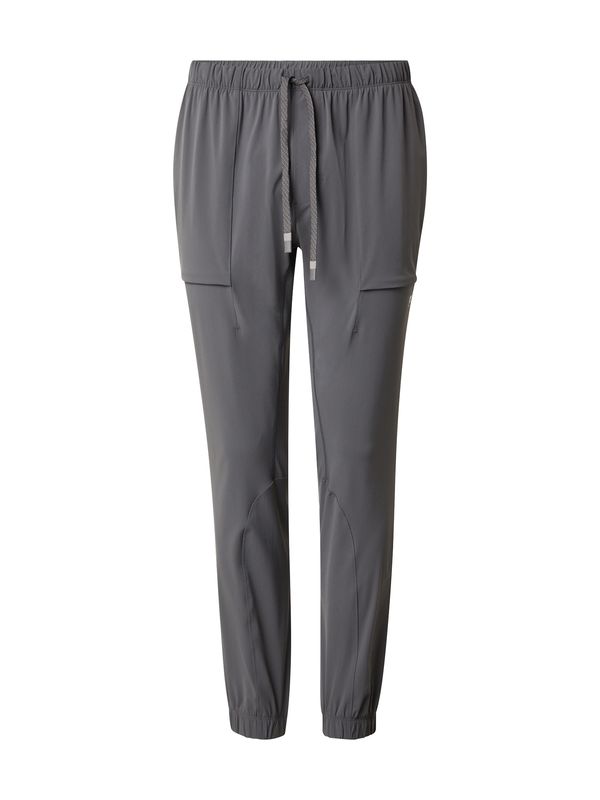 Fabletics Fabletics Sportske hlače 'THE ONE'  siva