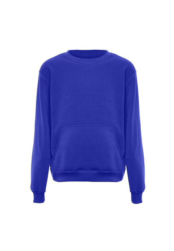 FUMO FUMO Sweater majica  kraljevsko plava