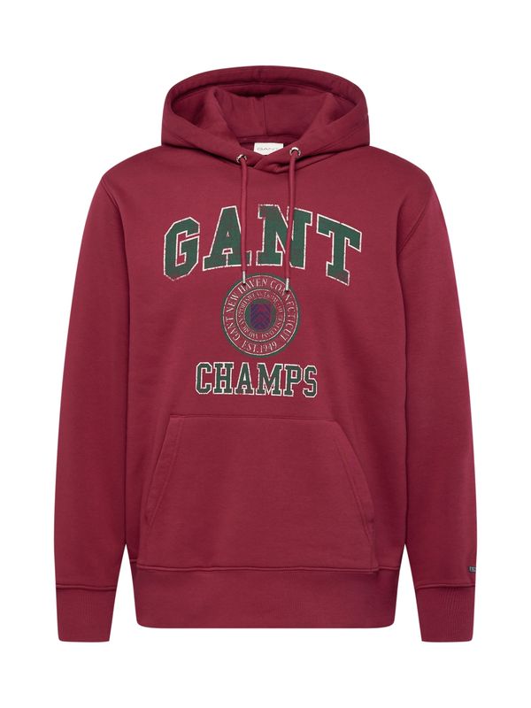 GANT GANT Sweater majica  tamno zelena / burgund / bijela