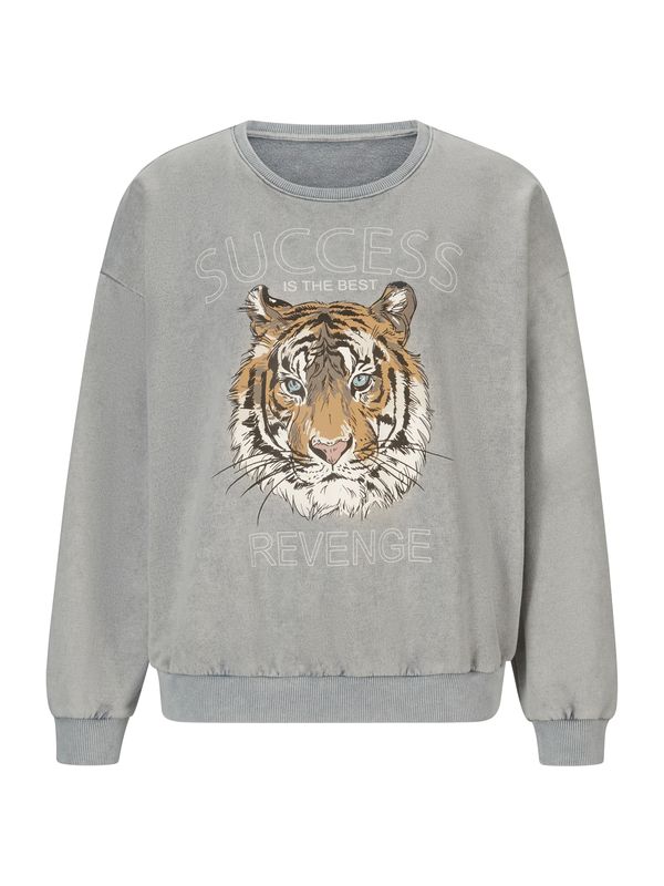 heine heine Sweater majica  smeđa / siva / crna / bijela