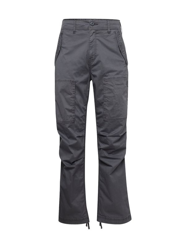 HOLLISTER HOLLISTER Cargo hlače 'FLEX'  tamo siva