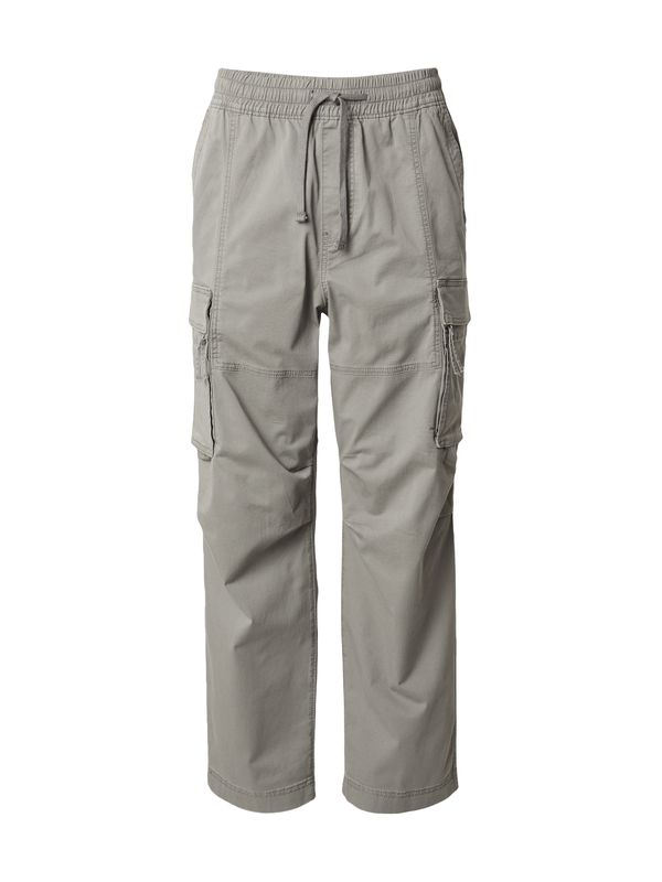 HOLLISTER HOLLISTER Cargo hlače  siva