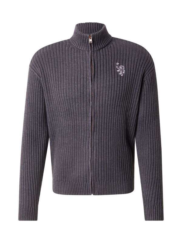 HOLLISTER HOLLISTER Kardigan  tamo siva / prljavo roza