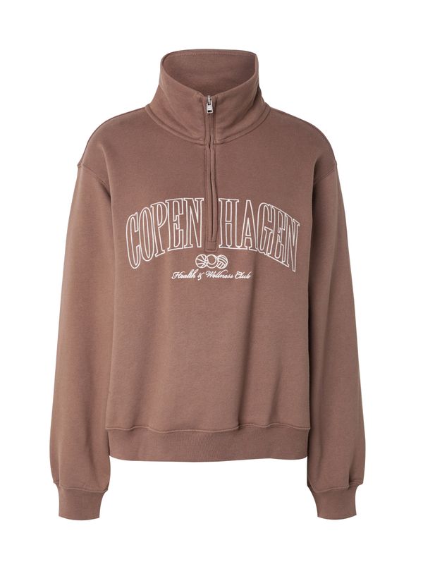 HOLLISTER HOLLISTER Sweater majica  smeđa / bijela