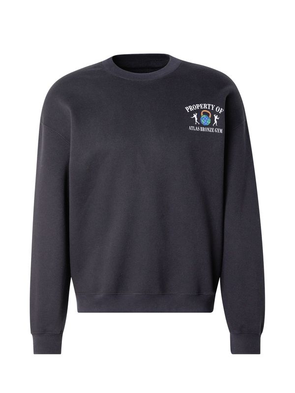HOLLISTER HOLLISTER Sweater majica  svijetlosiva / zelena / tamno narančasta / crna