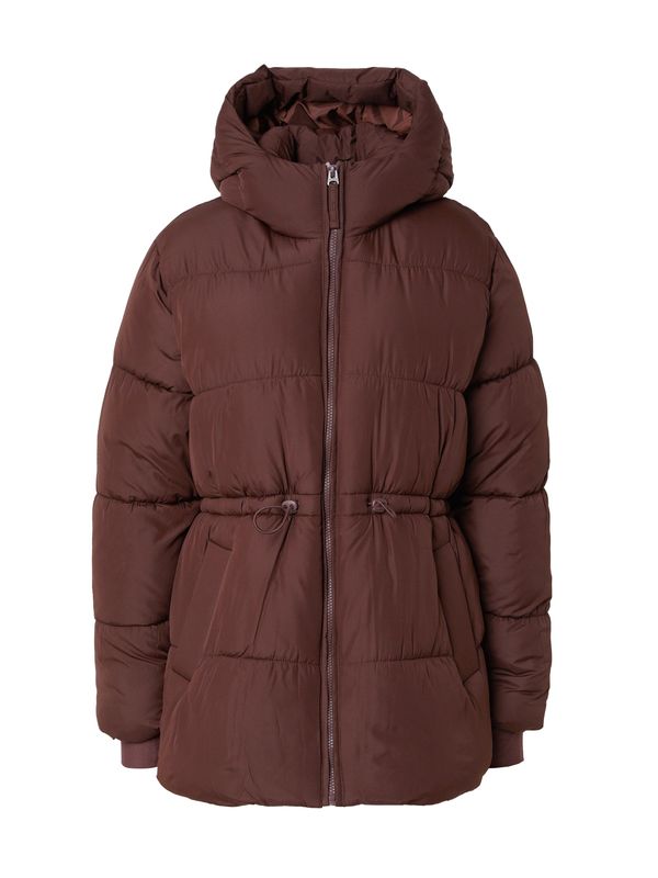 HOLLISTER HOLLISTER Zimska jakna 'EMEA +'  tamno smeđa