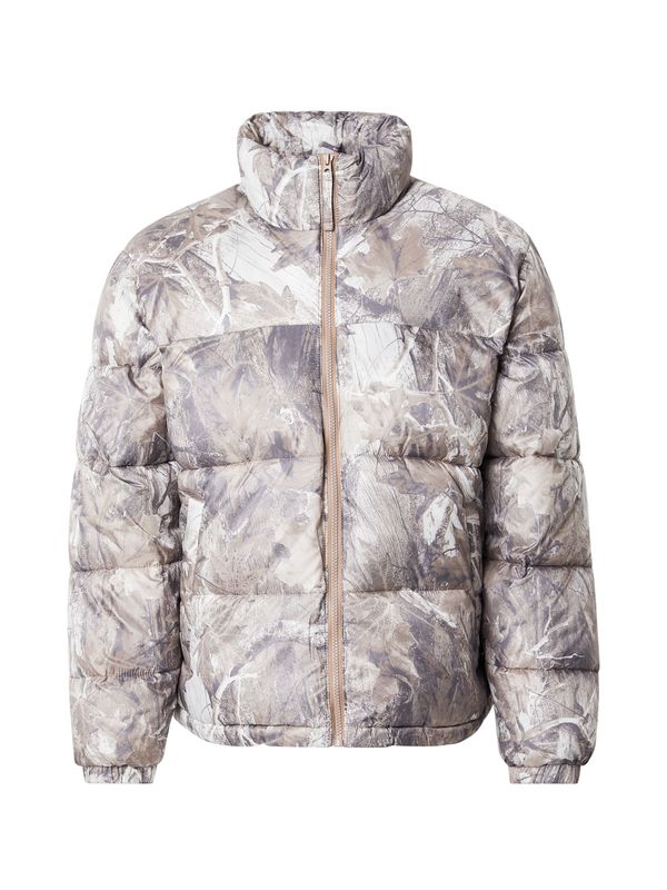 HOLLISTER HOLLISTER Zimska jakna  taupe siva / tamo siva / bijela