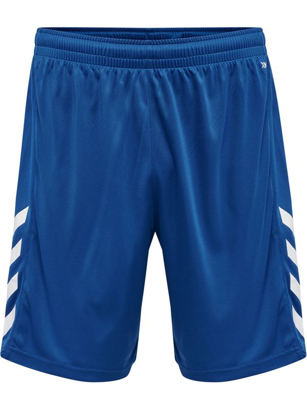 Hummel Hummel Sportske hlače 'Core'  tamno plava / bijela