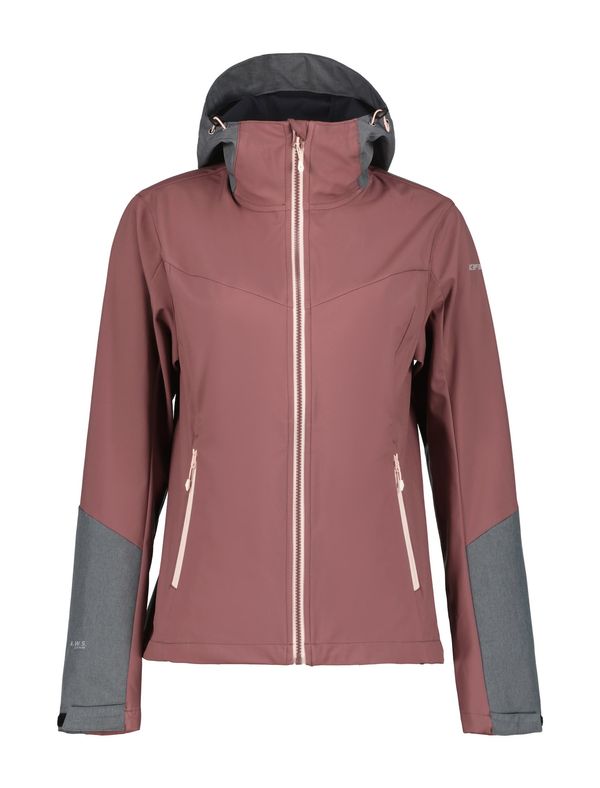 ICEPEAK ICEPEAK Outdoor jakna 'Parnell'  siva / šljiva