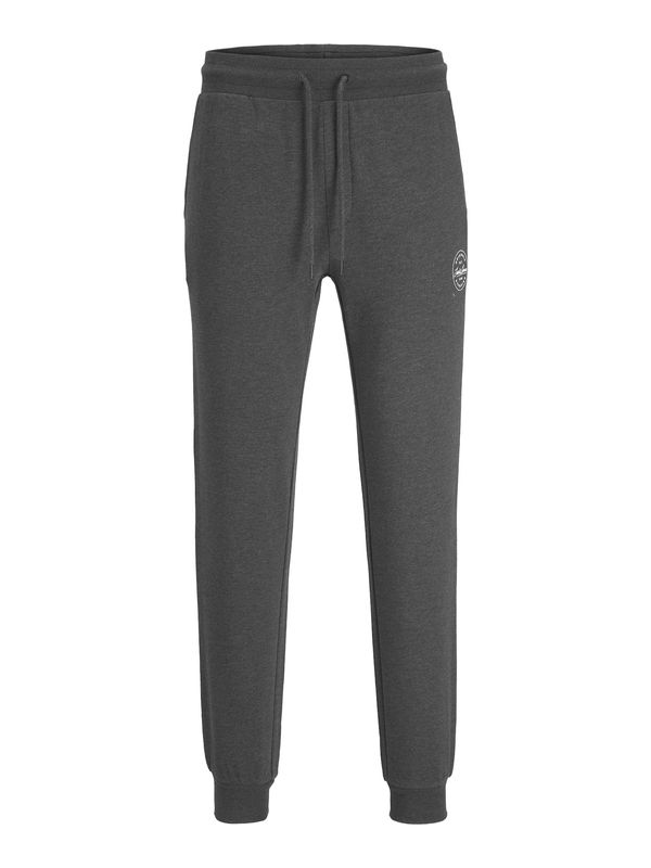 JACK & JONES JACK & JONES Hlače 'Gordon'  antracit siva / bijela