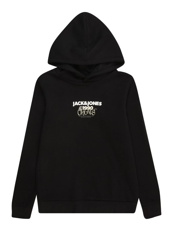 Jack & Jones Junior Jack & Jones Junior Sweater majica 'JORBUSHWICK'  siva / crna / bijela