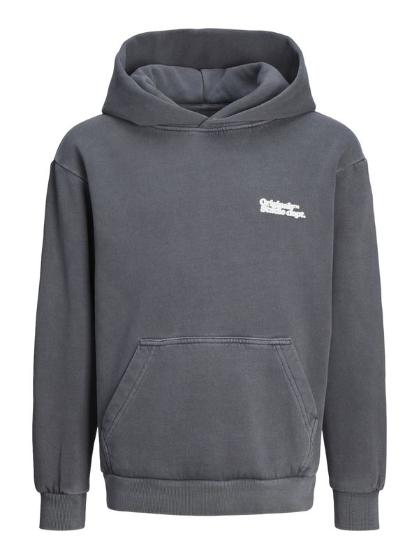 Jack & Jones Junior Jack & Jones Junior Sweater majica 'JORVERMONT'  tamo siva / bijela