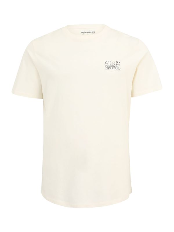 Jack & Jones Plus Jack & Jones Plus Majica 'JORDARK'  toplo smeđa / čokolada / siva