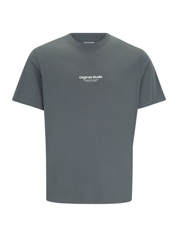 Jack & Jones Plus Jack & Jones Plus Majica 'JORVESTERBRO'  bazalt siva / bijela