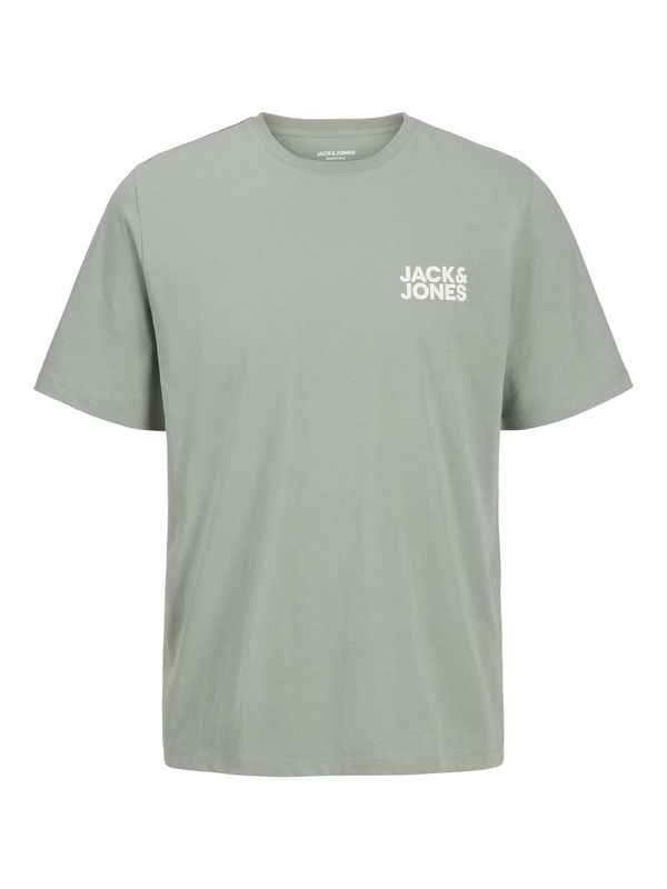 Jack & Jones Plus Jack & Jones Plus Majica  pastelno zelena / bijela