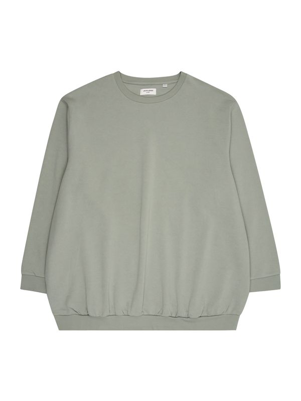 Jack & Jones Plus Jack & Jones Plus Sweater majica 'JJEBRADLEY'  pastelno zelena