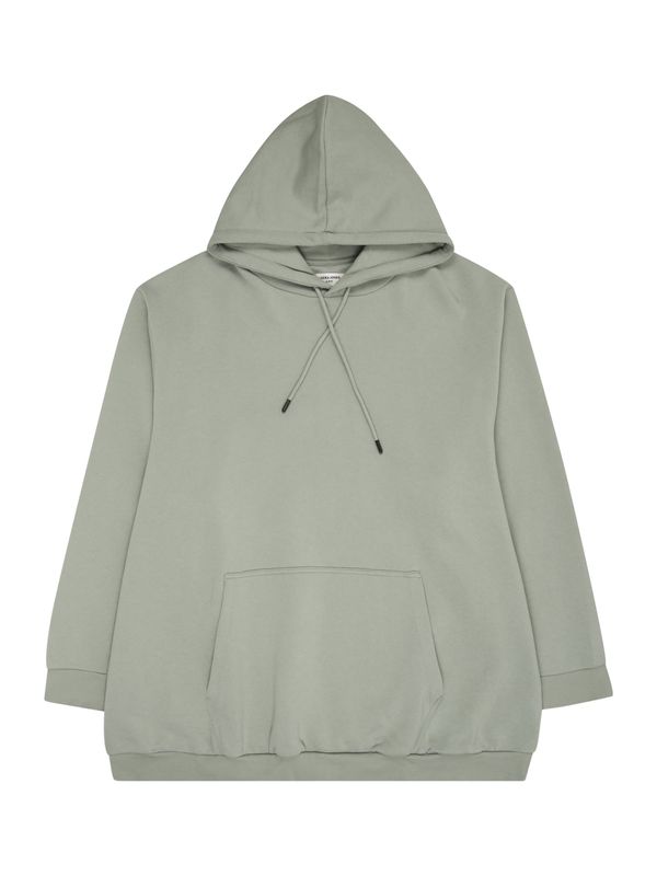 Jack & Jones Plus Jack & Jones Plus Sweater majica 'JJEBRADLEY'  sivkasto zelena