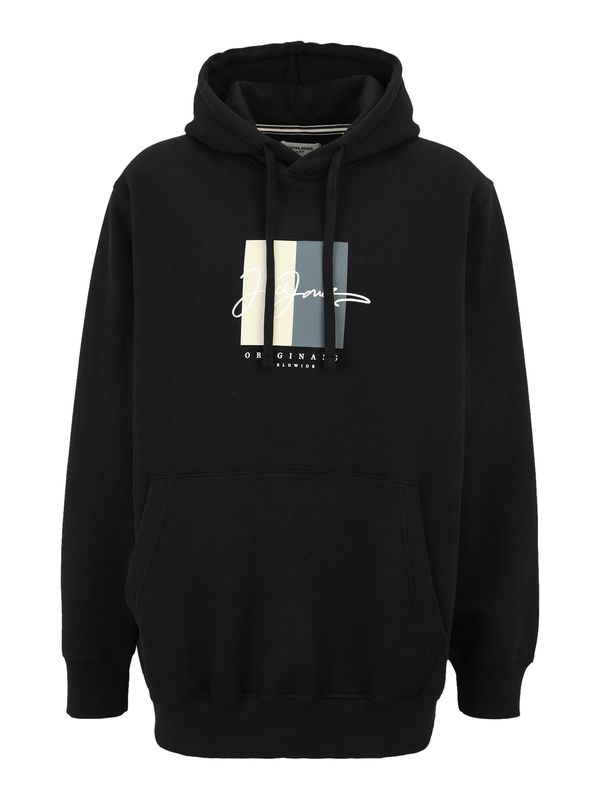 Jack & Jones Plus Jack & Jones Plus Sweater majica 'JORFREDERIKSBERG'  svijetlobež / siva / crna / bijela