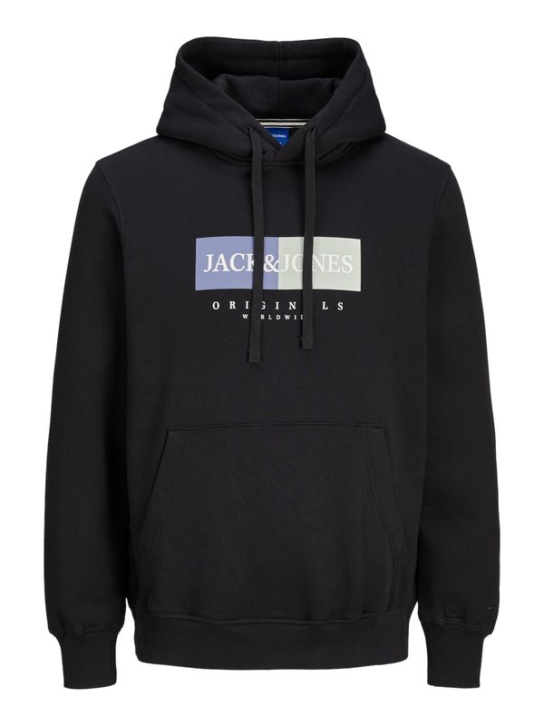 JACK & JONES JACK & JONES Sweater majica 'Frederiksberg'  safirno plava / pastelno zelena / crna / bijela
