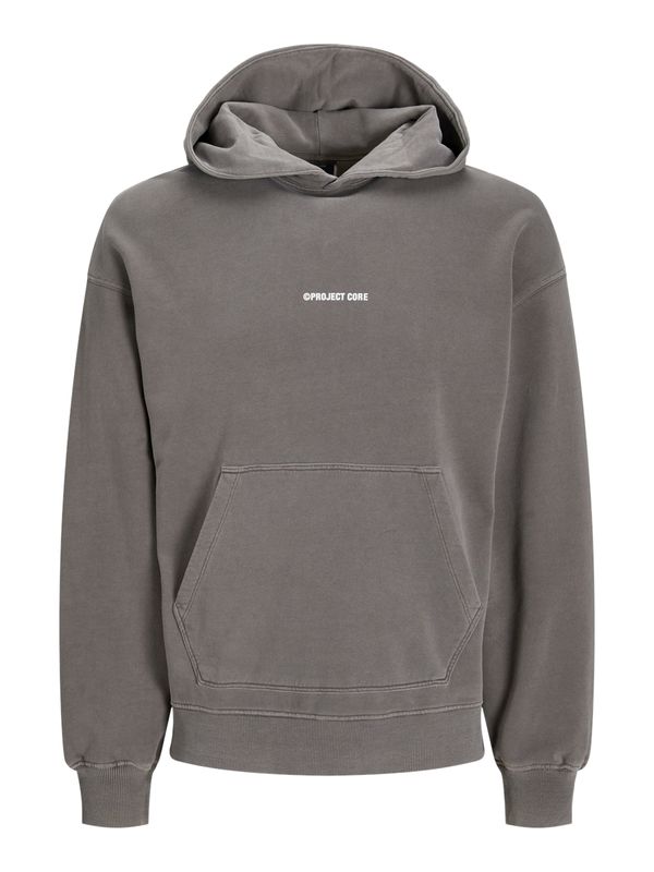 JACK & JONES JACK & JONES Sweater majica 'JCOKINETIC'  siva / bijela