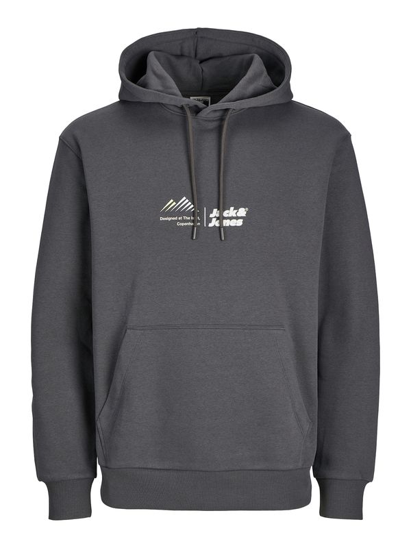 JACK & JONES JACK & JONES Sweater majica 'JCOLima'  tamo siva / bijela